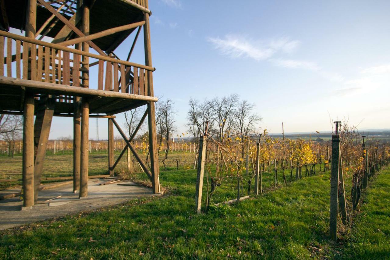 Holiday Home Janko Bogojina Exterior photo