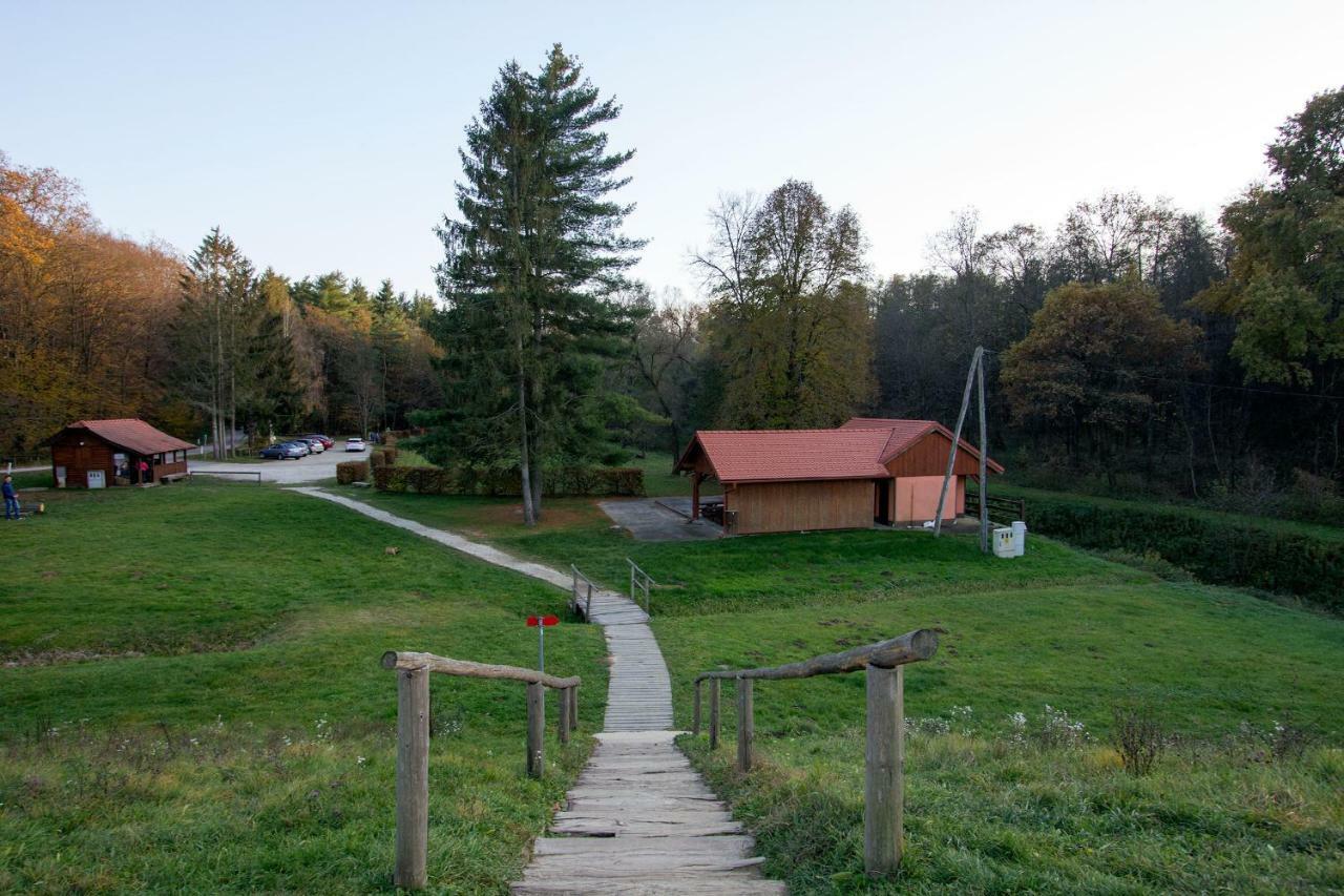 Holiday Home Janko Bogojina Exterior photo